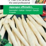 Spárga, Asparagus officinalis L. 1,5 g