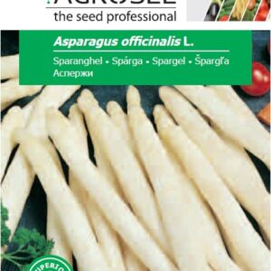 Spárga, Asparagus officinalis L. - 1,5 g