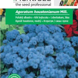 Kék bojtocska, Ageratum houstonianum Mill. - 1 g