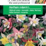 Harangláb, Aquilegia vulgaris L. - 0,3 g