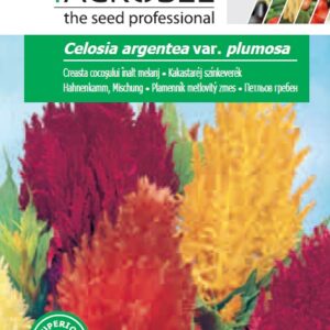 Kakastaréj színkeverék, Celosia argentea var. plumosa - 0,5 g
