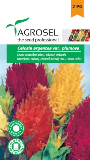 Kakastaréj színkeverék, Celosia argentea var. plumosa - 0,5 g