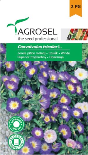 Szulák, Convolvulus tricolor L. - 2 g