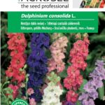 Teltvirágú szarkaláb színkeverék, Delphinium consolida L. - 1 g