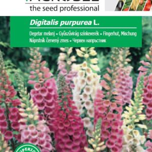 Gyűszűvirág színkeverék, Digitalis purpurea L. - 0,75 g
