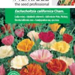 Kakukkmák színkeverék, Eschscholtzia californica Cham. - 1 g