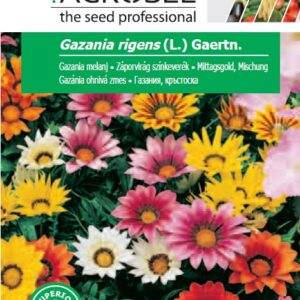 Záporvirág színkeverék, Gazania rigens (L.) Gaertn. - 0,17 g
