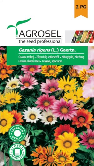 Záporvirág színkeverék, Gazania rigens (L.) Gaertn. - 0,17 g
