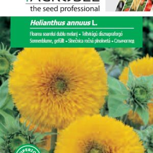 Teltvirágú dísznapraforgó, Helianthus annuus L. - 3 g