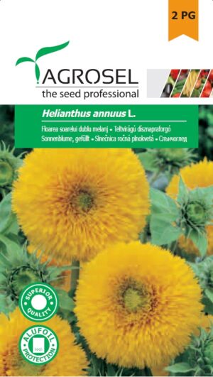 Teltvirágú dísznapraforgó, Helianthus annuus L. - 3 g