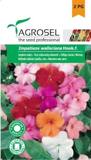 Törpe nebáncsvirág színkeverék, Impatiens walleriana Hook.f. - 0,1 g