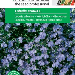 Kék lobélia, Lobelia erinus L. - 0,3 g