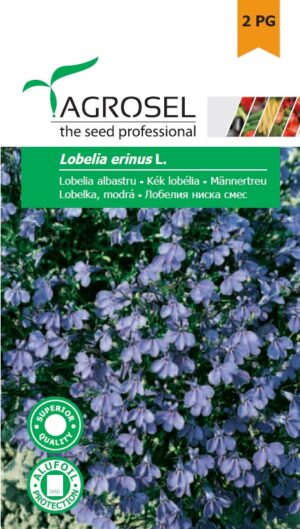 Kék lobélia, Lobelia erinus L. - 0,3 g