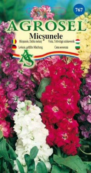 Teltvirágú viola színkeverék, Matthiola incana (L.) W.T. Aiton - 0,75 g