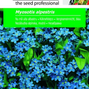 Kéknefelejcs, Myosotis alpestris - 1 g
