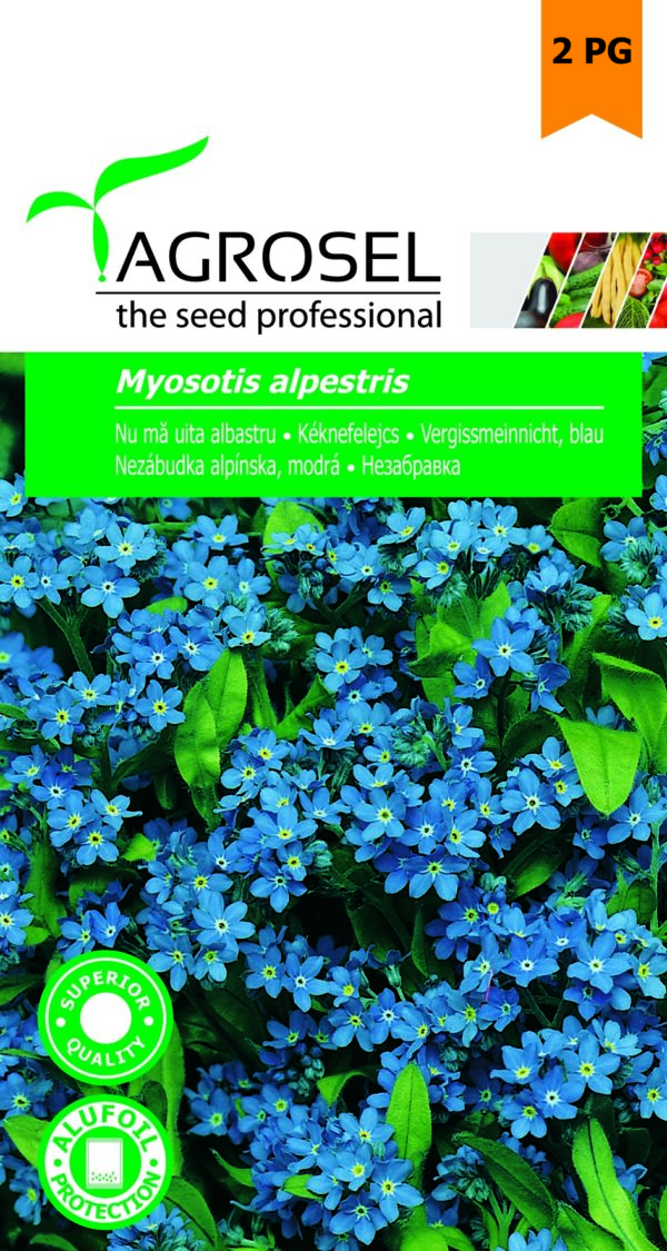 Kéknefelejcs, Myosotis alpestris - 1 g