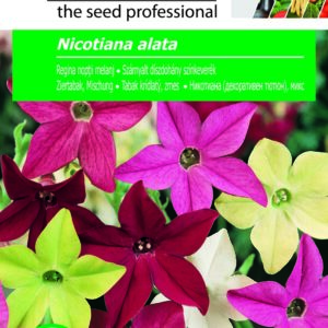 Szárnyalt díszdohány színkeverék, Nicotiana alata - 1 g