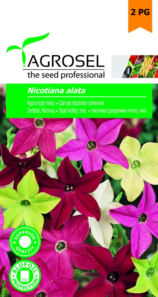 Szárnyalt díszdohány színkeverék, Nicotiana alata - 1 g