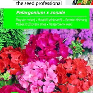 Muskátli színkeverék, Pelargonium x zonale - 0,08 g