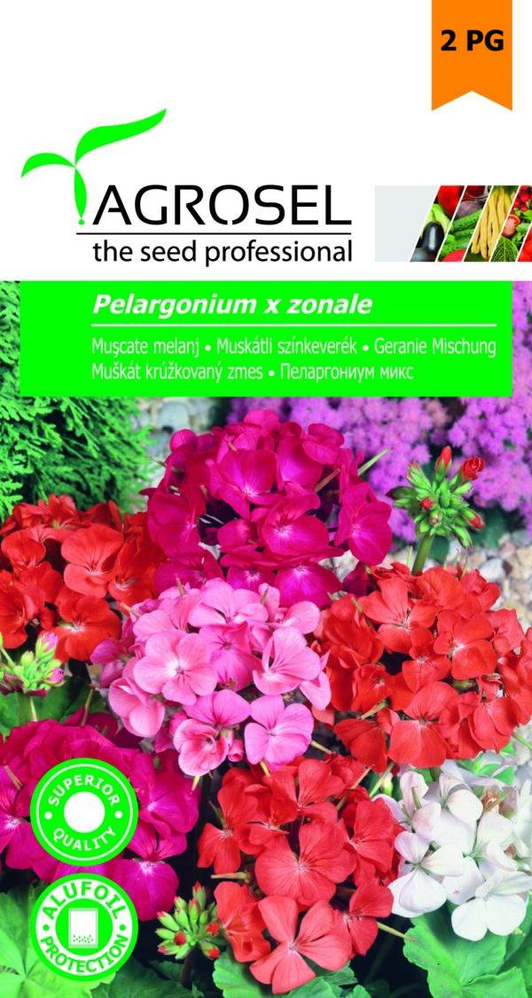 Muskátli színkeverék, Pelargonium x zonale - 0,08 g
