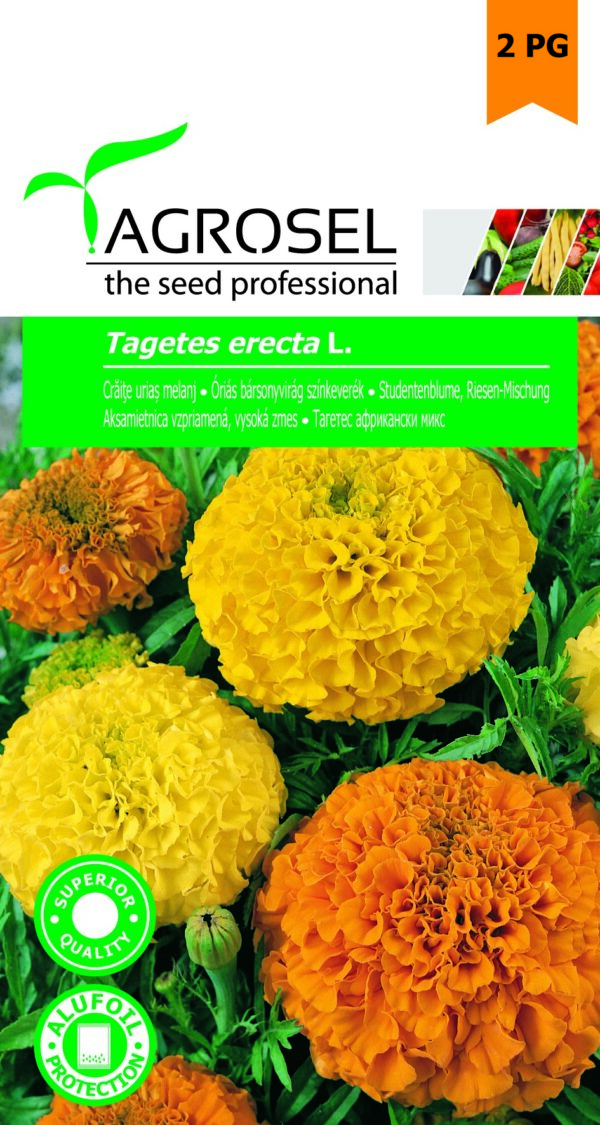 Óriás bársonyvirág színkeverék, Tagetes erecta L. - 1 g
