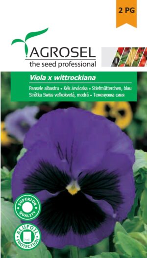 Kék árvácska, Viola x wittrockiana - 0,25 g