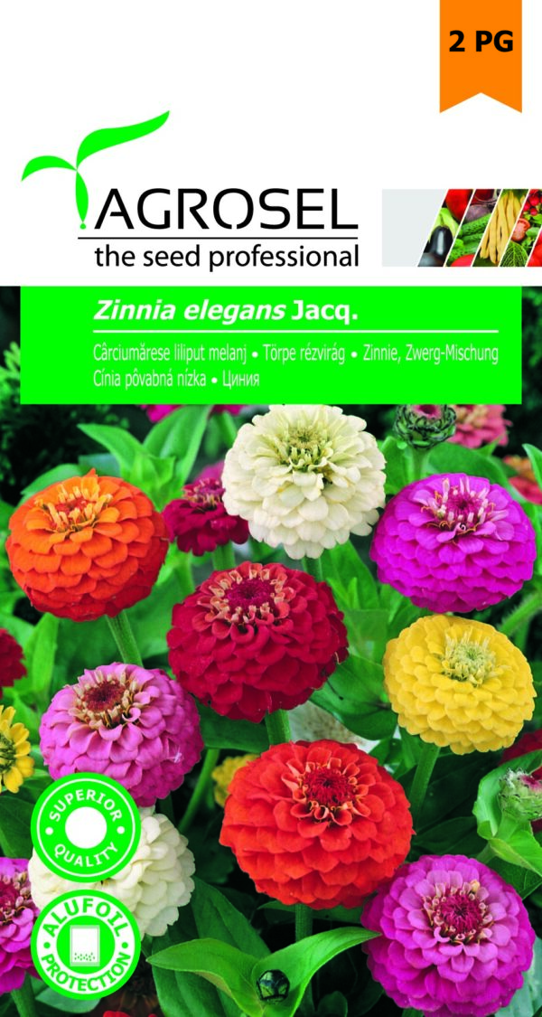 Törpe rézvirág, Zinnia elegans Jacq. - 2 g