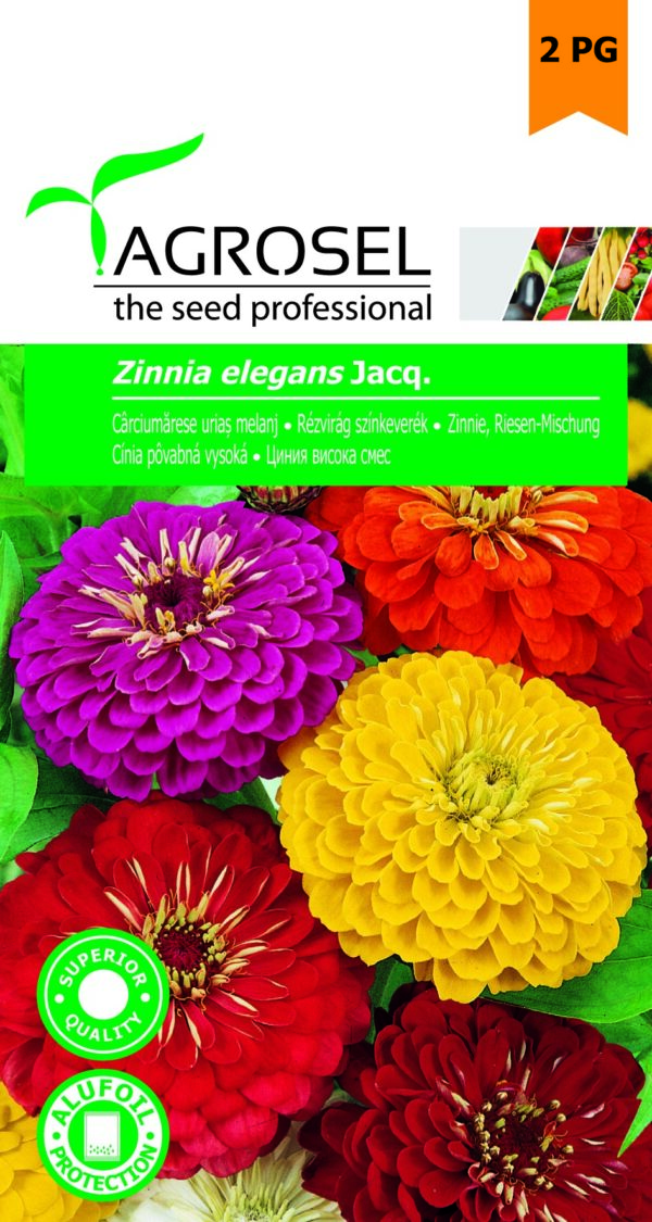 Rézvirág színkeverék, Zinnia elegans Jacq. - 2 g