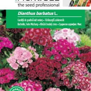 Törökszegfű színkeverék, Dianthus barbatus L. - 1 g