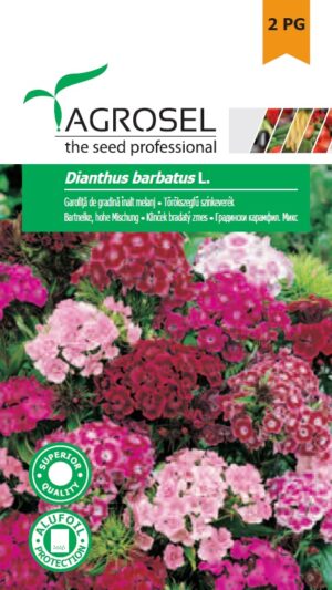 Törökszegfű színkeverék (magas), Dianthus barbatus L. - 1 g