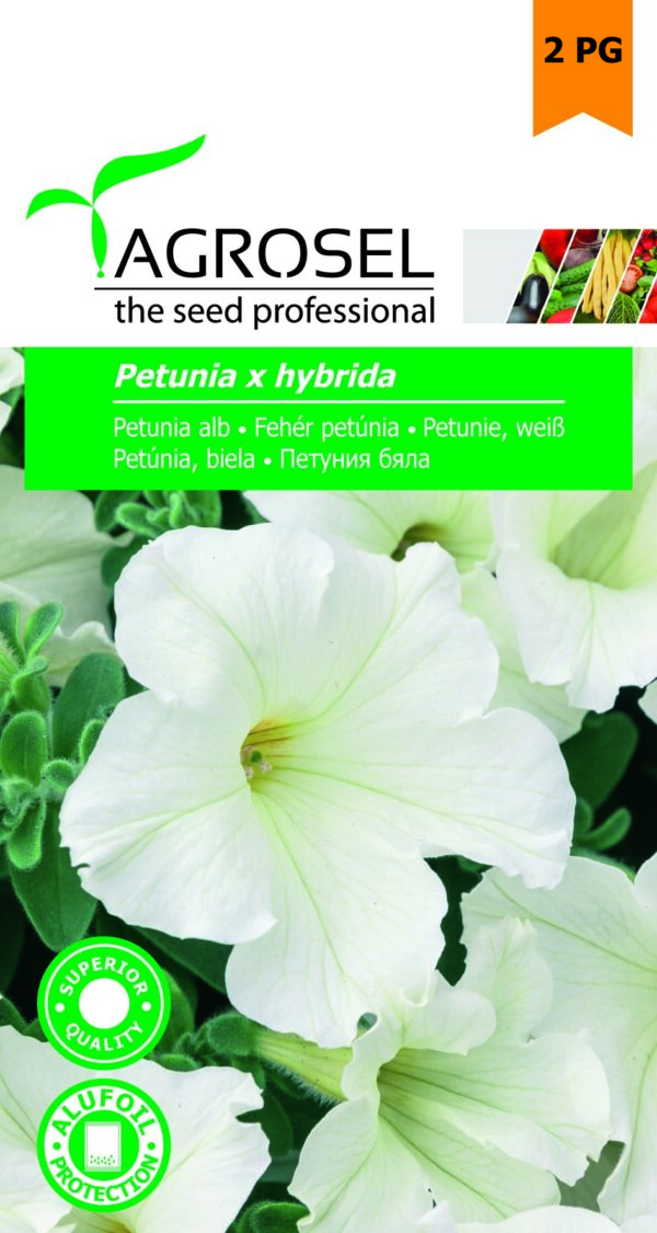 Fehér petúnia, Petunia x hybrida - 0,75 g