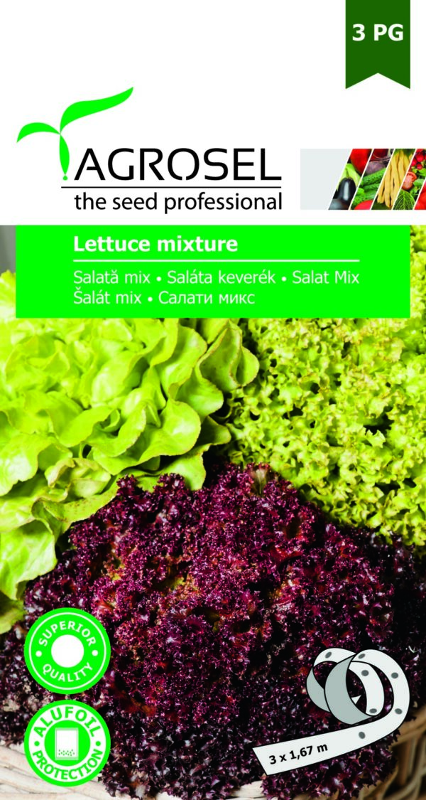 Saláta keverék, Lettuce mixture