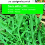 Rukola, Eruca sativa (Mill.) 3 g