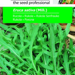 Rukola, Eruca sativa (Mill.)
