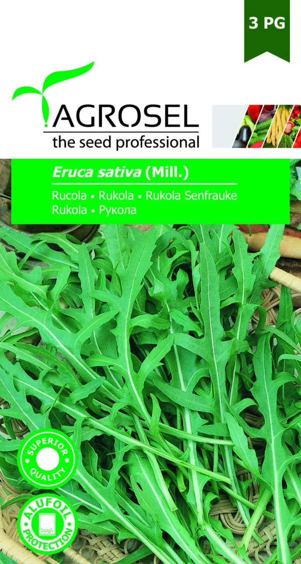 Rukola, Eruca sativa (Mill.)