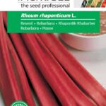 Rebarbara, Rheum rhaponticum L. 1,3 g