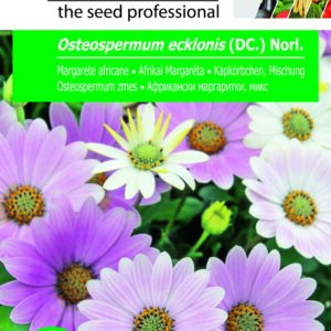 Afrikai Margaréta, Osteospermum ecklonis (DC.) Norl. - 0,5 g