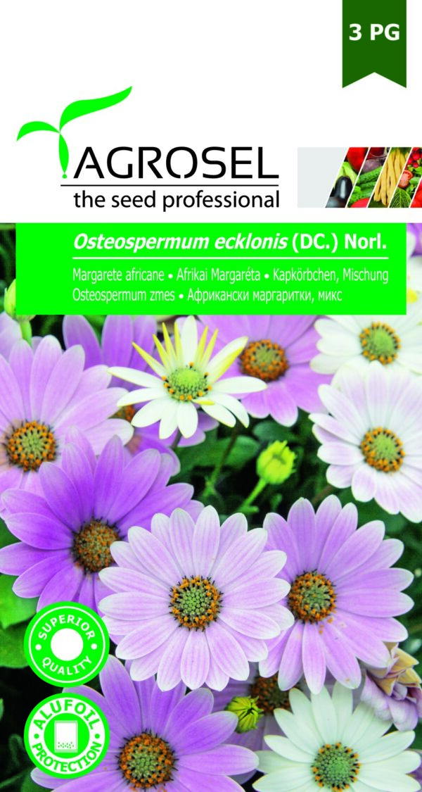 Afrikai Margaréta, Osteospermum ecklonis (DC.) Norl. - 0,5 g
