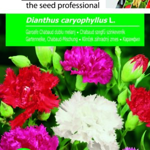 Chabaud szegfű színkeverék, Dianthus caryophyllus L. - 0,5 g