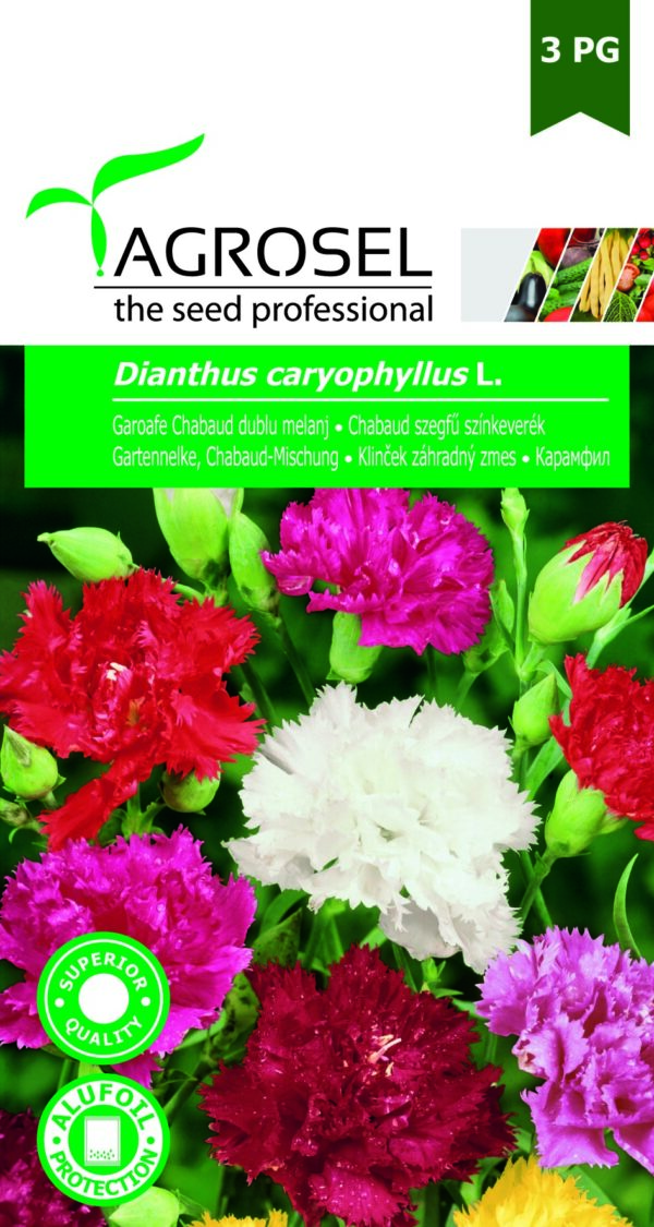 Chabaud szegfű színkeverék, Dianthus caryophyllus L. - 0,5 g