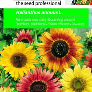 Dísznapraforgó színkeverék, Helianthus annuus L. - 1,5 g