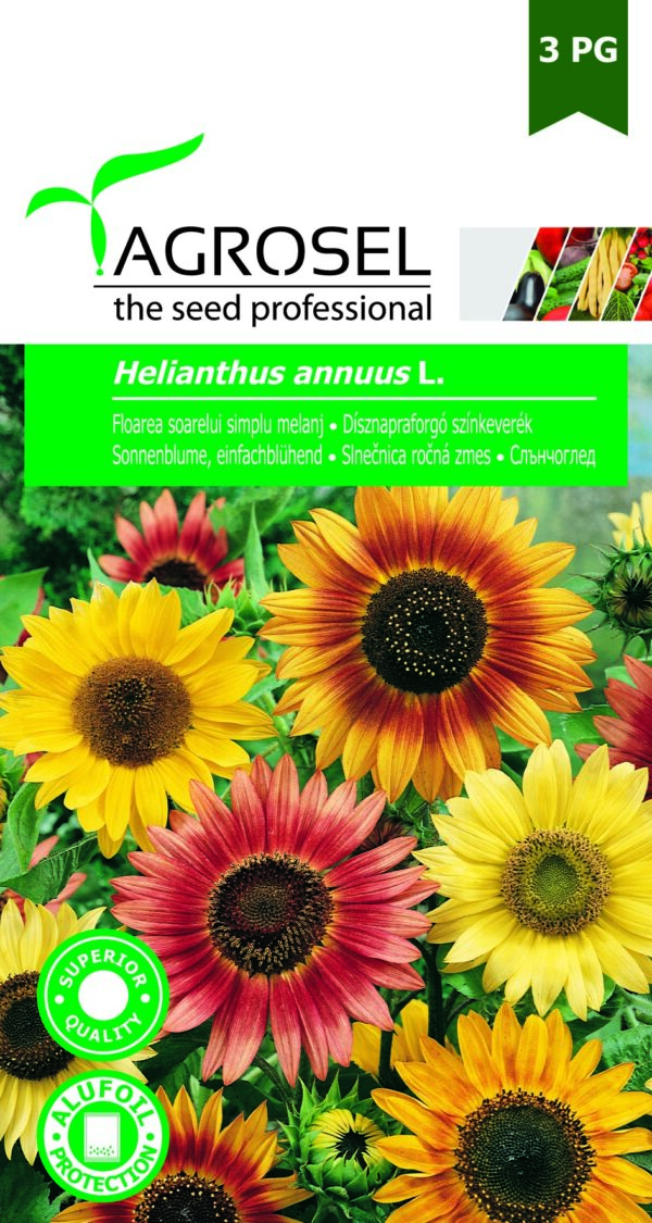 Dísznapraforgó színkeverék, Helianthus annuus L. - 1,5 g