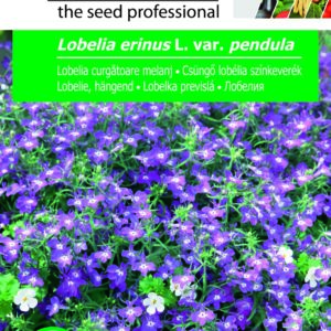 Csüngő lobélia színkeverék, Lobelia erinus L. var. pendula - 0,5 g