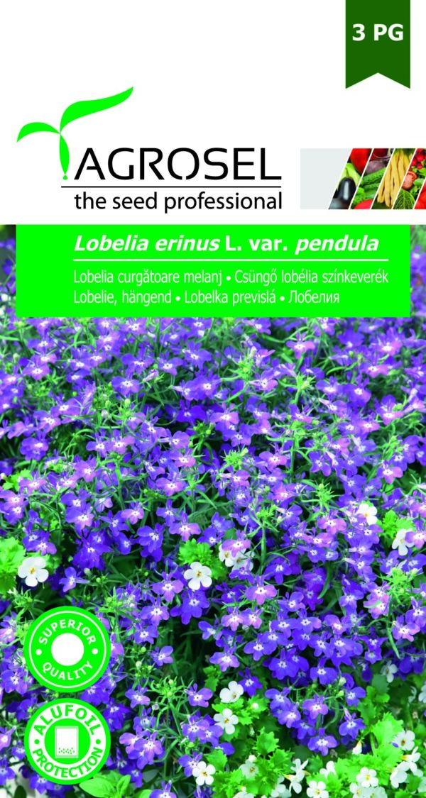 Csüngő lobélia színkeverék, Lobelia erinus L. var. pendula - 0,5 g