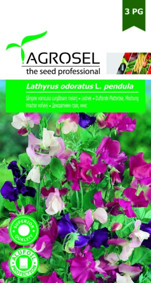 Lednek, Lathyrus odoratus L. pendula - 3 g