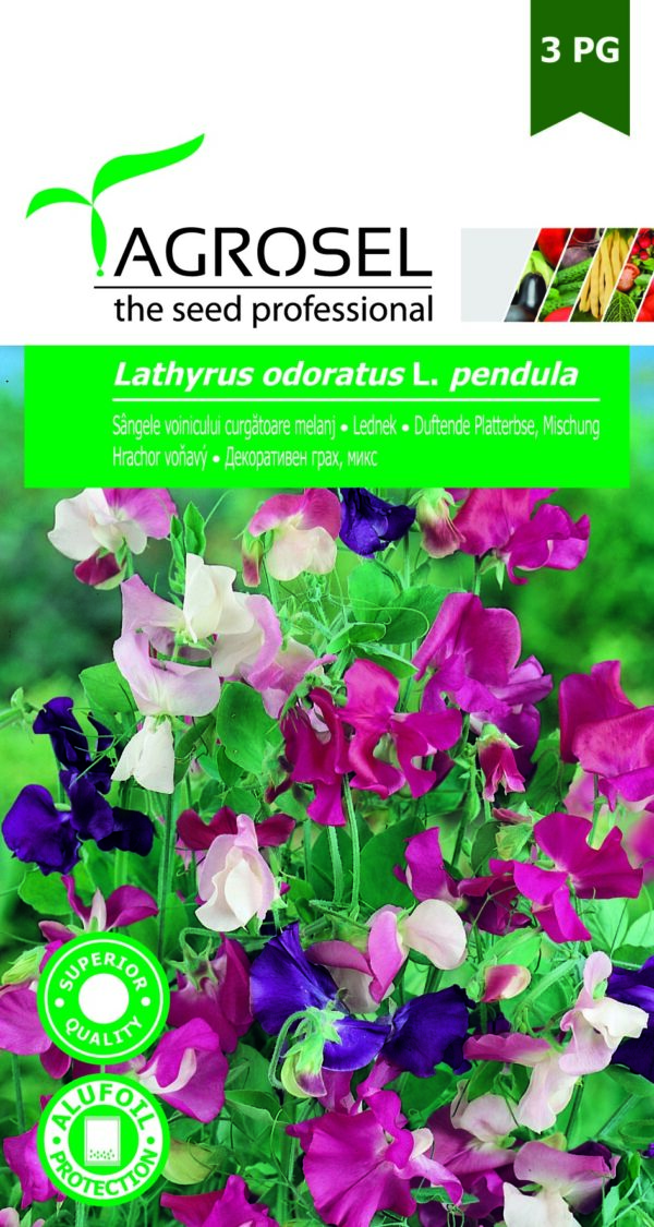 Lednek, Lathyrus odoratus L. pendula - 3 g