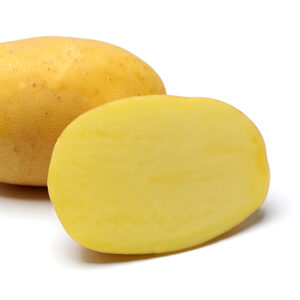 Agria 50 szem - 1000 g
