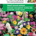 Alacsony egynyári keverék, Dwarf annual mixture - 3 g