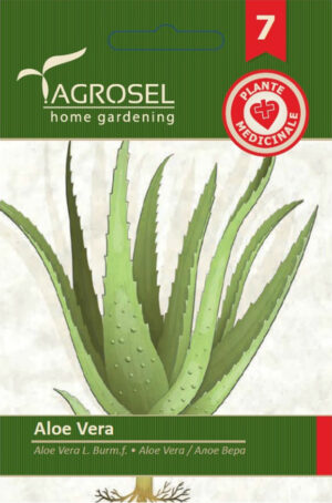 Aloe vera, Aloe vera L. Burm.f. 8 szem