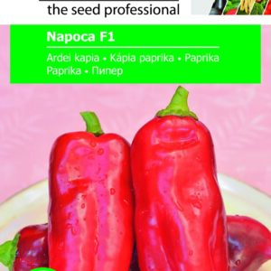 Paprika (kápia), Napoca F1 - 1 g